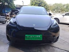 Tesla Model Y Long Range All-Wheel Drive - ფოტო 2