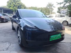 Tesla Model Y Long Range All-Wheel Drive - ფოტო 3