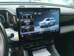 GAC Aion GS8 Pioneer Series 2.0T GDI FWD Luxury Smart Connected Edition 7-Seater - ფოტო 12