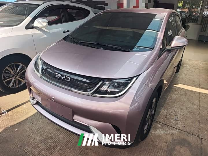 BYD Dolphin 420km Freedom Edition