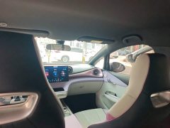 BYD Dolphin 2023 420km Freedom Edition - ფოტო 13