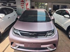BYD Dolphin 2023 420km Freedom Edition - ფოტო 2