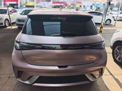 BYD Dolphin 2023 420km Freedom Edition - ფოტო 3