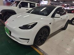 Tesla Model Y Performance All-Wheel Drive - ფოტო 1