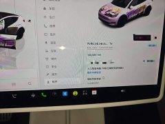 Tesla Model Y Performance All-Wheel Drive - ფოტო 11