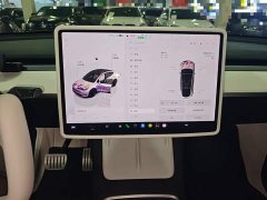 Tesla Model Y Performance All-Wheel Drive - ფოტო 12