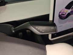 Tesla Model Y Performance All-Wheel Drive - ფოტო 13