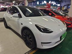 Tesla Model Y Performance All-Wheel Drive - ფოტო 3