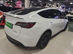 Tesla Model Y Performance All-Wheel Drive - ფოტო 6