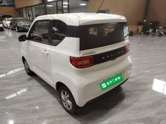 Wuling Hongguang MINIEV 2020 Deluxe Edition LFP Battery - ფოტო 4