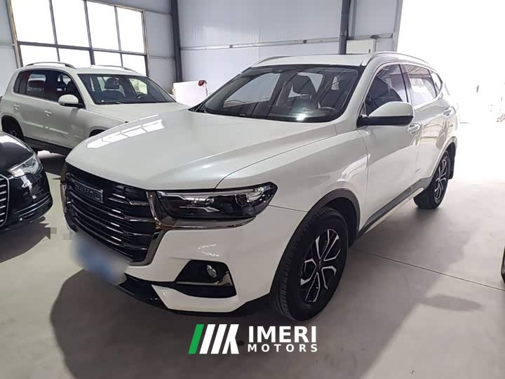 Haval H6 2021 National Trend Edition 1.5T Automatic Urban Version - ავტომობილი ჩინეთიდან
