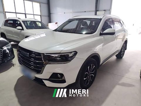 2023 Haval H6 2021 National Trend Edition 1.5T Automatic Urban Version - ავტომობილი ჩინეთიდან
