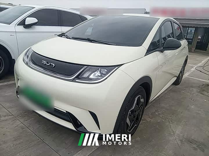 BYD Dolphin 420km Vitality Edition - ავტომობილი ჩინეთიდან