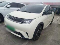 BYD Dolphin 420km Vitality Edition - ფოტო 1