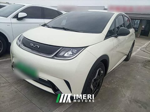 2025 BYD Dolphin 420km Vitality Edition - ავტომობილი ჩინეთიდან
