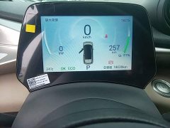 BYD Dolphin 420km Vitality Edition - ფოტო 11