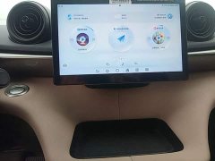 BYD Dolphin 420km Vitality Edition - ფოტო 12