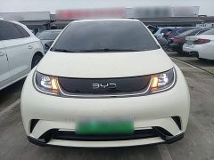BYD Dolphin 420km Vitality Edition - ფოტო 2