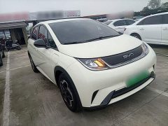BYD Dolphin 420km Vitality Edition - ფოტო 3