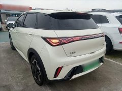 BYD Dolphin 420km Vitality Edition - ფოტო 4