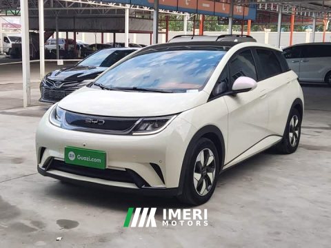 2024 BYD Dolphin Glory Edition 420km Fashion Version - ავტომობილი ჩინეთიდან