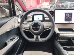 BYD Dolphin Glory Edition 420km Fashion Version - ფოტო 10