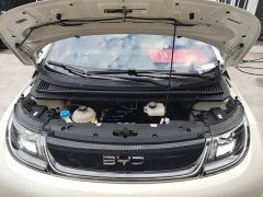 BYD Dolphin Glory Edition 420km Fashion Version - ფოტო 19