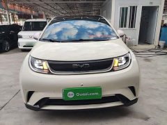 BYD Dolphin Glory Edition 420km Fashion Version - ფოტო 2