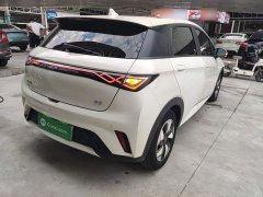 BYD Dolphin Glory Edition 420km Fashion Version - ფოტო 6