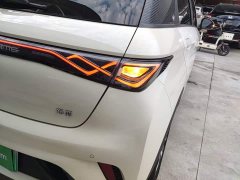 BYD Dolphin Glory Edition 420km Fashion Version - ფოტო 7