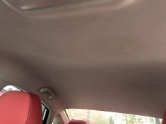 Changan Eado PLUS 1.6L GDI CVT Elite - ფოტო 17