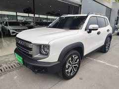 Great Wall Dachshund 1.5T DCT Labrador Edition - ფოტო 1