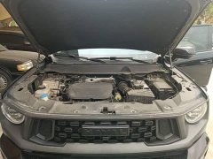 Haval Big Dog PLUS 1.5T Two-Wheel Drive Trendy Wilderness Edition Plus - ფოტო 19