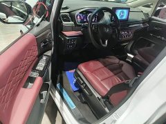 Honda Elysion 2.0L e:HEV Elite - ფოტო 15