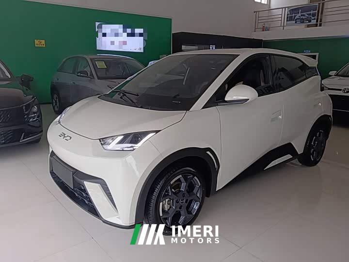 BYD Seagull 2025 305km Freedom Edition - ავტომობილი ჩინეთიდან