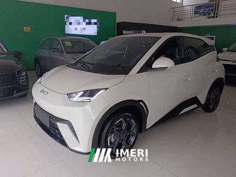 2024 BYD Seagull 2025 305km Freedom Edition - ავტომობილი ჩინეთიდან