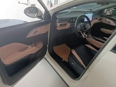 BYD Seagull 2025 305km Freedom Edition - ფოტო 15