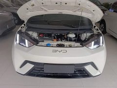 BYD Seagull 2025 305km Freedom Edition - ფოტო 19