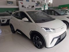 BYD Seagull 2025 305km Freedom Edition - ფოტო 3