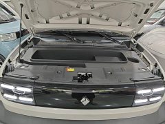 Baojun Yueye 2024 Smart Premium Edition - ფოტო 19