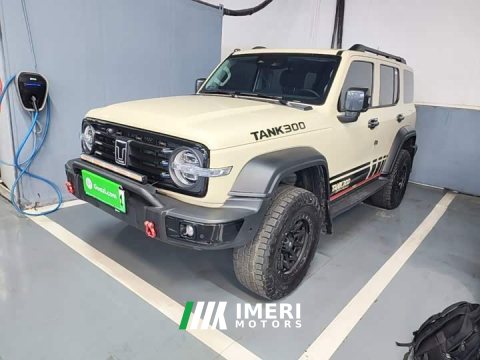 2025 Tank 300 New Energy Hi4-T 37.1kWh - ავტომობილი ჩინეთიდან