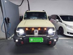 Tank 300 New Energy Hi4-T 37.1kWh - ფოტო 2