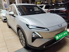 Wuling Xingguang S 130km Pilot Edition - ფოტო 3