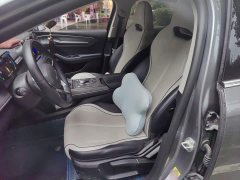 BYD Destroyer 05 Glory Edition DM-i 55KM Luxury - ფოტო 11