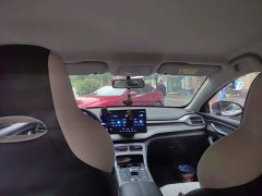 BYD Destroyer 05 Glory Edition DM-i 55KM Luxury - ფოტო 14