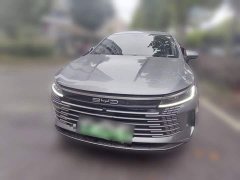 BYD Destroyer 05 Glory Edition DM-i 55KM Luxury - ფოტო 2