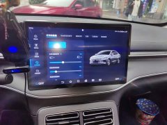 BYD Destroyer 05 Glory Edition DM-i 55KM Luxury - ფოტო 20