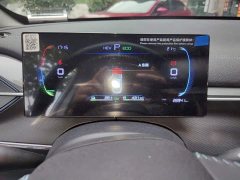 BYD Destroyer 05 Glory Edition DM-i 55KM Luxury - ფოტო 7