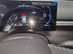 BYD Destroyer 05 Glory Edition DM-i 55KM Luxury - ფოტო 8