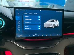 BYD Song Plus New Energy 2021 DM-i 110KM Flagship Plus - ფოტო 20